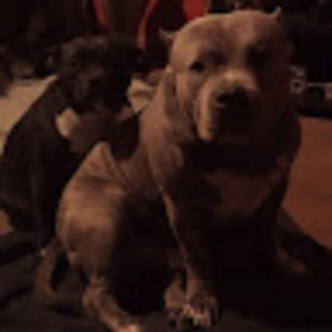 Meet your Posher, Jamie